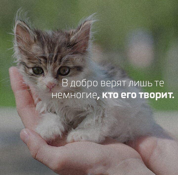    - 9  2018  06:35