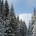 ���� �����, �����-��������� - ��������� 9 ������ 2018 � ������ ���� ����������