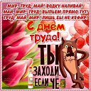 ���� ���������, �����������, 41 ��� - ��������� 6 ��� 2018 � ������ ���� ����������