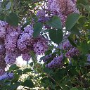 ���� Olga, ������, 67 ��� - ��������� 4 ���� 2018 � ������ ���� ����������