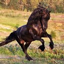 ���� ������, ������, 47 ��� - ��������� 8 ������ 2018 � ������ ���� ����������