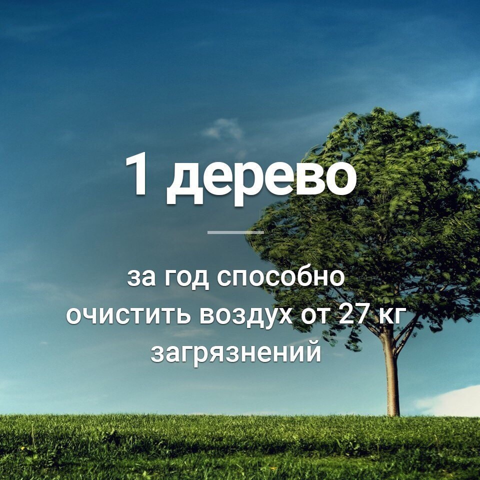  - 4  2018  04:09