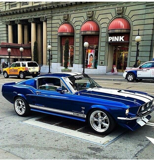 Mustang