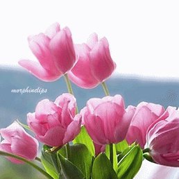 �����, ������-��-����, 53 ����