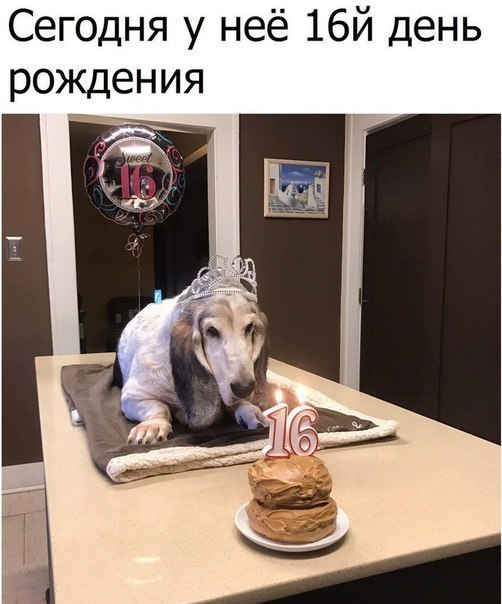   - 11  2018  22:07