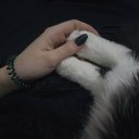 ���� ����� ����, ������, 23 ���� - ��������� 14 ������ 2018 � ������ ���� ����������