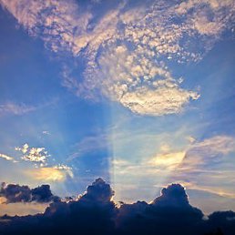 �����, �����������, 85 ���