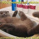 ���� ������, ������, 73 ���� - ��������� 8 ������ 2018 � ������ ���� ����������