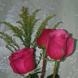 ���� ����, �����, 47 ��� - ��������� 10 ������ 2018