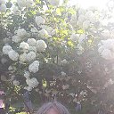 ���� �����, ������, 60 ��� - ��������� 9 ��� 2018 � ������ ����� ������!!!�