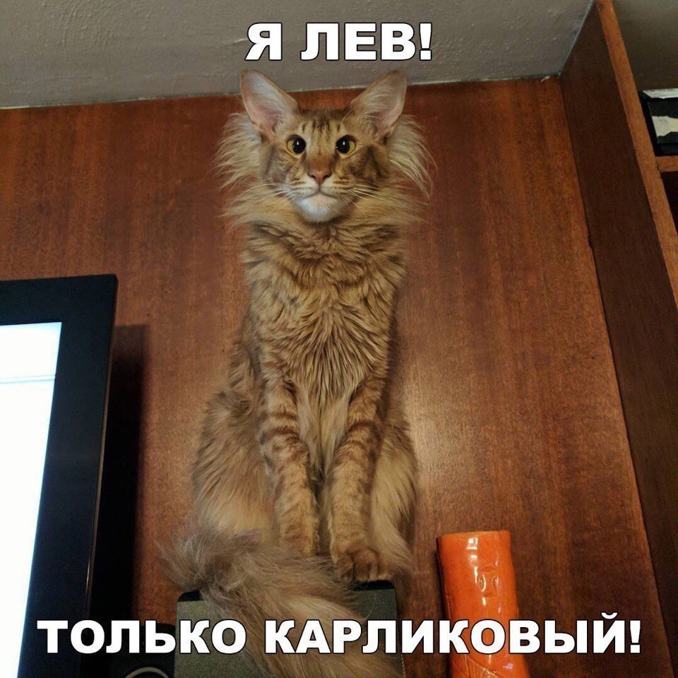  - 23  2018  03:43