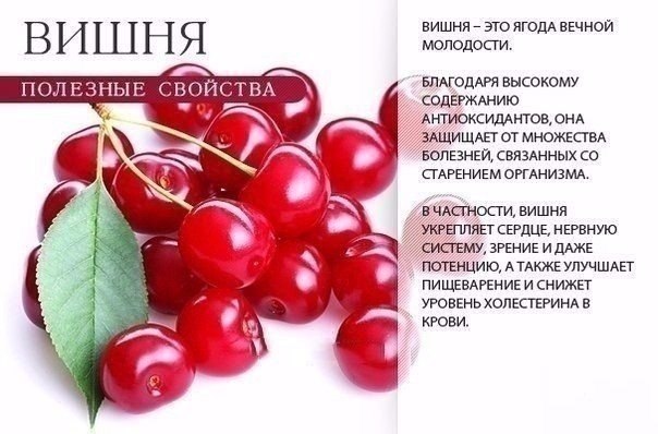   - 6