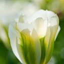 ���� Nastasya, ����, 34 ���� - ��������� 26 ������� 2018 � ������ ���� ����������