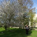    (), , 70  -  25  2018    