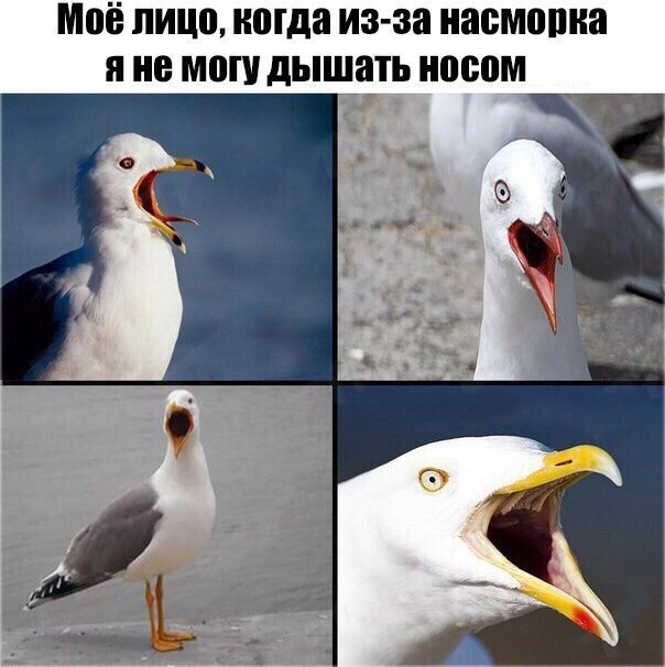    - 4  2018  03:39