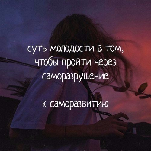  - 23  2017  03:35