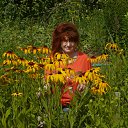 ���� �������, ������ - ��������� 1 ����� 2018 � ������ ���� ����������