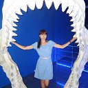 ���� �����, ���������, 44 ���� - ��������� 1 ������� 2017 � ������ ���� ����������