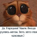 ���� ������, �������� - ��������� 4 ������ 2018 � ������ ���� ����������