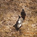 ���� ����, �����-��������� - ��������� 14 ������ 2018 � ������ ���������.�