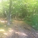 ���� ������, �����������, 37 ��� - ��������� 11 ����� 2018 � ������ ���� ����������