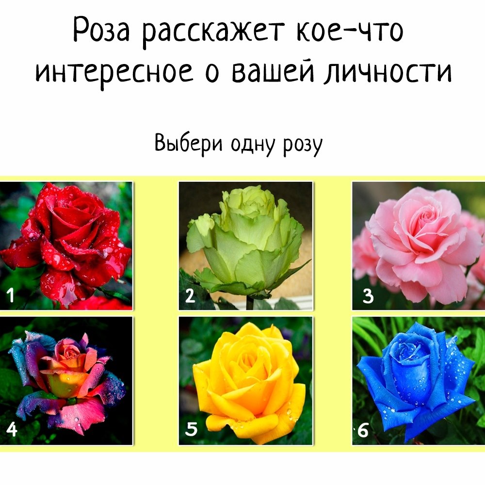 , ?  !      ,    #@psyxov