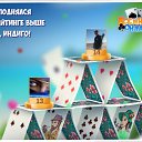 ���� ����, �����������, 61 ��� - ��������� 31 ����� 2018 � ������ �������� �������-�������