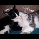 ���� �������, ���������, 28 ��� - ��������� 13 ������ 2018 � ������ ������ ��������