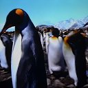  ,  -  13  2017        »