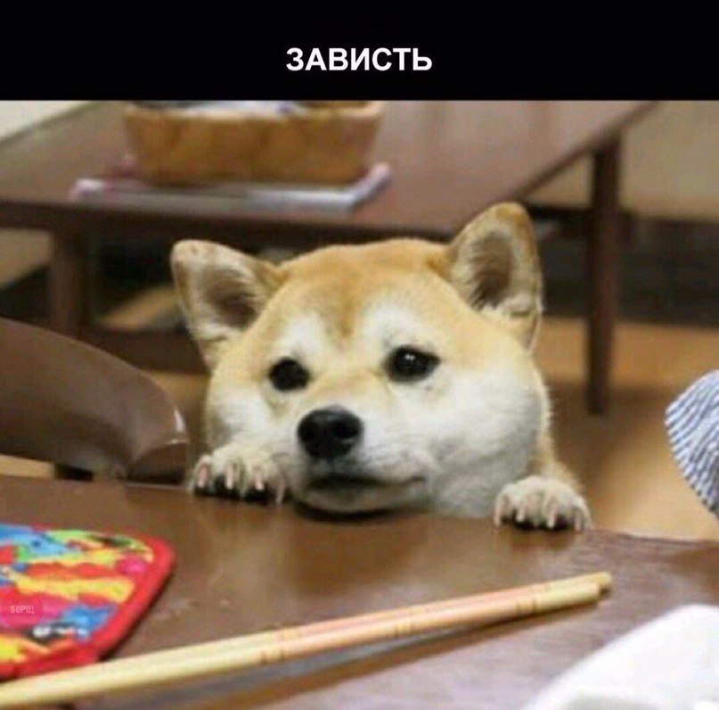 7   - 7