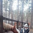    ?   ..., , 33  -  16  2018    