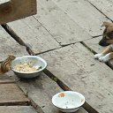 �� �� �������, �� �� �������! �� ������� ������