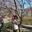 ���� ������, �����-���������, 64 ���� - ��������� 10 ��� 2018 � ������ ������ ��������