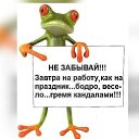  ,  , 71  -  20  2018    -     .