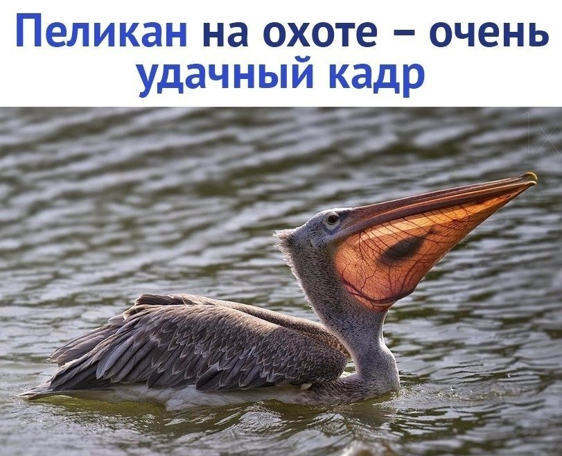 ���� �������� �������: ����� � ����� - 8 ���� 2018 � 02:54