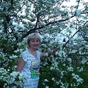 ���� 2018 � �� ������� ���� ����������