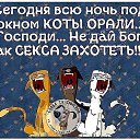  , , 63  -  1  2018    