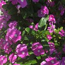  , -, 42  -  30  2018   , 2018 ()