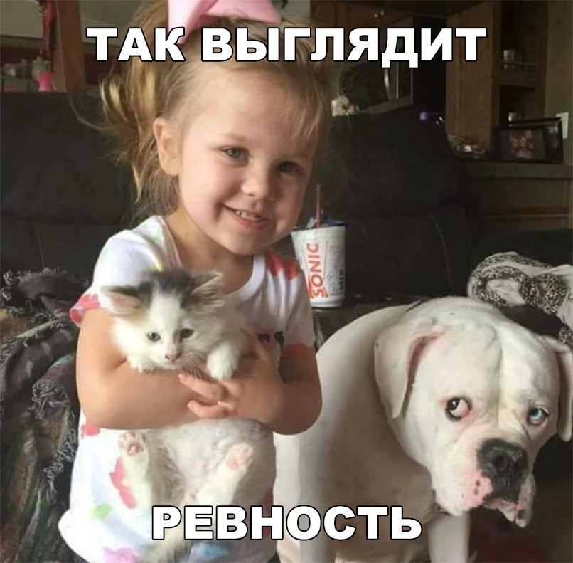    - 29  2018  08:04