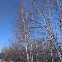 ���� ��������, ������������ - ��������� 11 ����� 2018 � ������ ���������� ������