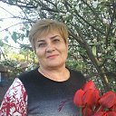 ���� �������, ����, 71 ��� - ��������� 8 ��� 2018 � ������ ���� ����������