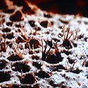  ,  -  13  2017        »