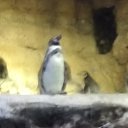 ���� Lidiya, ������, 62 ���� - ��������� 12 ����� 2018 � ������ ���� ����������