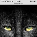 ���� �������, ������ - ��������� 20 ������ 2018 � ������ ���� ����������