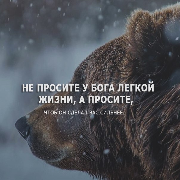 ����� ������ - 7 ����� 2018 � 04:39