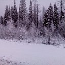 ���� �������, ������, 55 ��� - ��������� 30 ������ 2017 � ������ ���� ����������