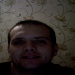 ������, 41 ���, ���������