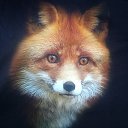 ���� ����, ��������� - ��������� 10 ���� 2018 � ������ ���� ����������