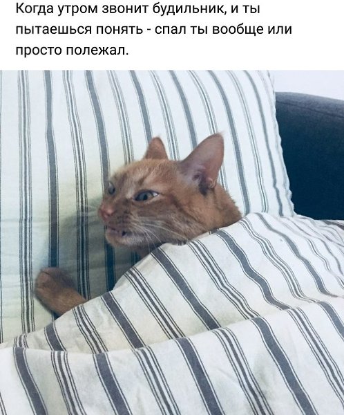     - 3  2018  03:53