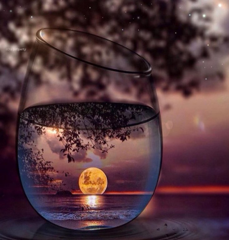     .  .  - ,   -     ...